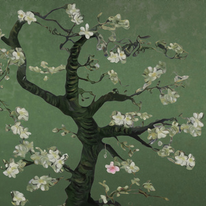 Chinese❌❌❌天美69
