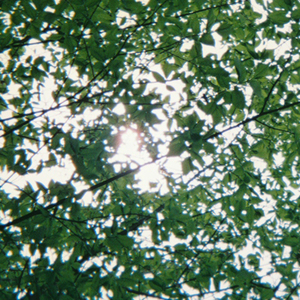 Chinese❌❌❌天美69
